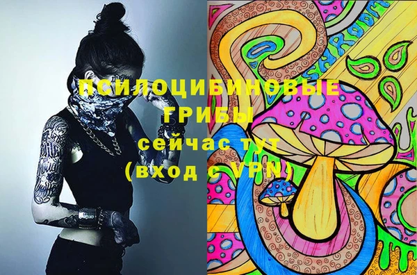 экстази Алексин