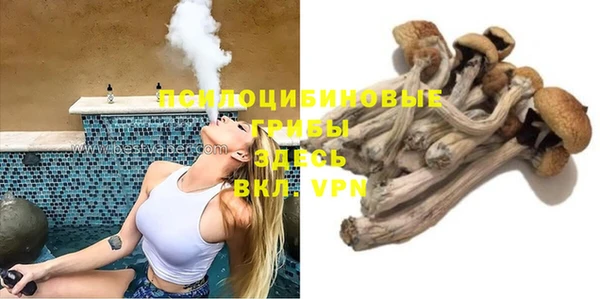 таблы Алзамай