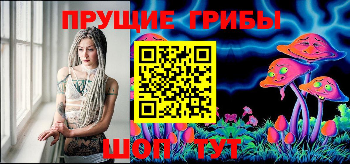 Псилоцибиновые грибы Psilocybe Томск