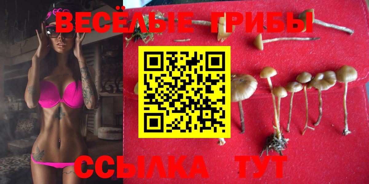 Томск  Псилоцибиновые грибы Magic Shrooms  Галлюциногенные грибы Cubensis  Вход с VPN 
