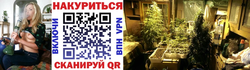 Бошки Шишки гибрид  Томск 
